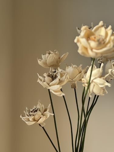 Image of Sola Whistle | 10 Piece | Lightweight & Handcrafted Sola Wood Flower for Elegant Home Dcor & DIY Arrangements