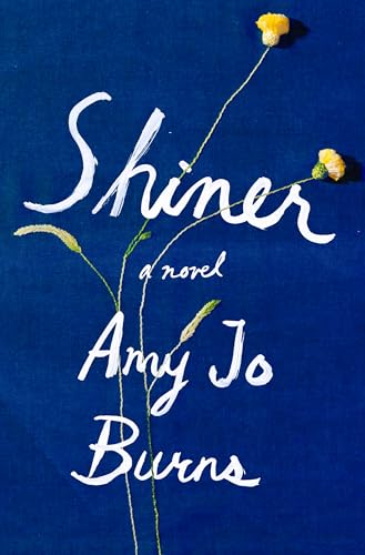 Shiner: A Novel view 2