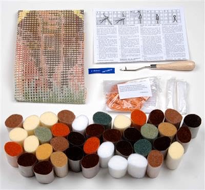 Broderie debutant DIY latch hook kit complet tapis point noué