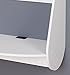 Prepac Kurv Floating Desk, White (WEHW-0901-1)