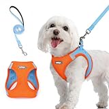 rabbitgoo Dog Harness...image