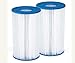 Produktbild Summer Waves - 2 Stück - Typ A/C - Pool Papierfilter - Filter Kartuschen - Ersatzfilter - 20,4 x 10,4 cm - Poolfilter für Whirlpool Stahlrahmenpool Spa
