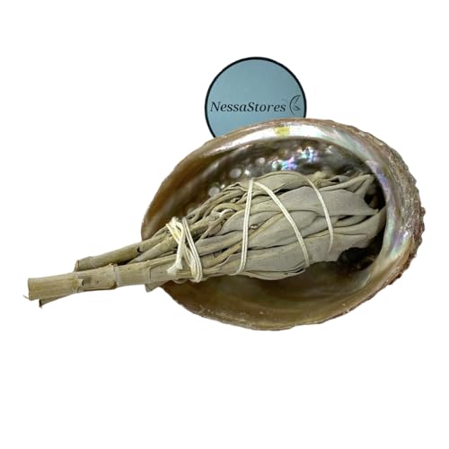 NessaStores 2 pc Sage Smudge Kit with 3