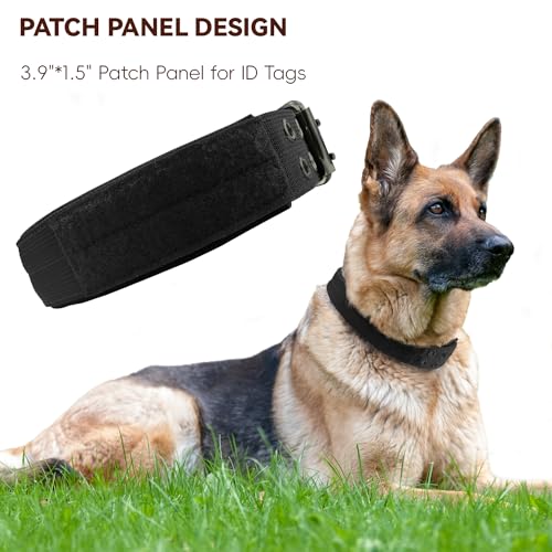 Heavy-Duty-Dog-Collar-for-Large-Dogs-Tactical-Dog-Collars-with-Metal-Buckle-D-Ring-15-Width-Thick-Adjustable-Nylon-Dog-Collar-for-Medium-Dogs-BlackL - Cucciolini Doodles   Heavy-Duty-Dog-Collar-for-Large-Dogs-Tactical-Dog-Collars-with-Metal-Buckle-D-Ring-15-Width-Thick-Adjustable-Nylon-Dog-Collar-for-Medium-Dogs-BlackL