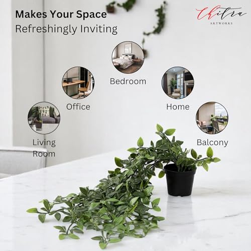 Image of Chitra Artificial Fern Plant with Pot Set of 6 Realistic Faux Greenery Indoor Decorative Plants for Home Living Room Office Tabletop Counter Decor Small Plastic Potted Plants for Shelf Desk Decoration