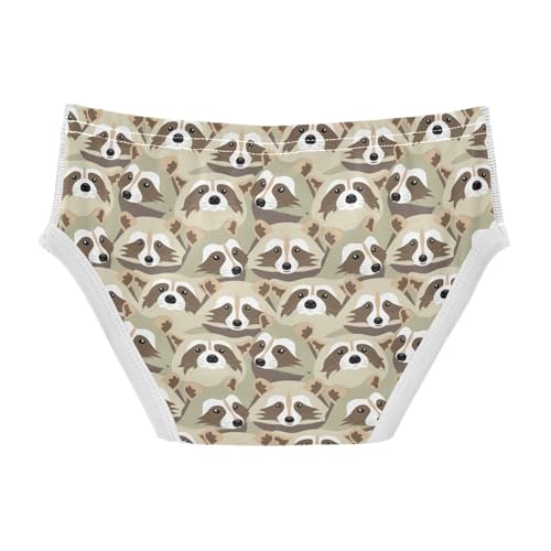Boys' Underwear Cotton Little Boys Raccoons Briefs Soft Toddler Underwear 2T-8Y2