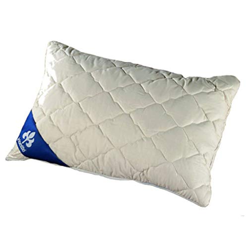 Hirsekissen Irisette mit Baumwoll-Perkal Bezug 40×80 cm