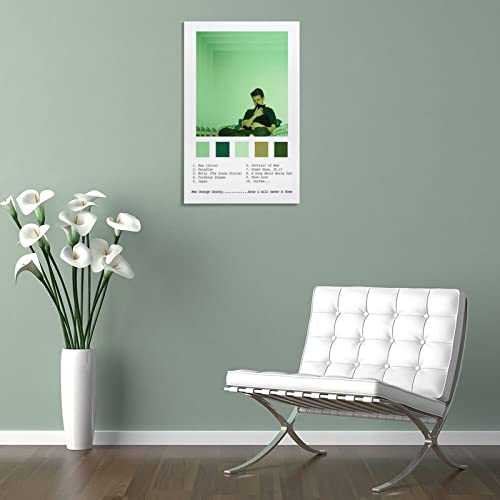 Rex Orange County impression sur toile 40x60 cm pour decoration de chambre