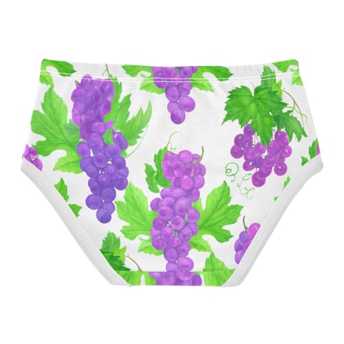 Girls Underwear Toddler 2t Cotton Panties Little Girl Bright Undies Kids Briefs Purple Grape Green Leaves White2