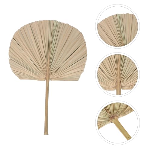 Hojas decorativas secas LIFKOME para arreglos miniatura 4