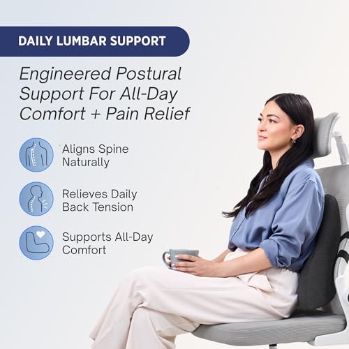 image for Align Labs Lumbar Support Pillow for Office Chair - Lower Back Pain Re