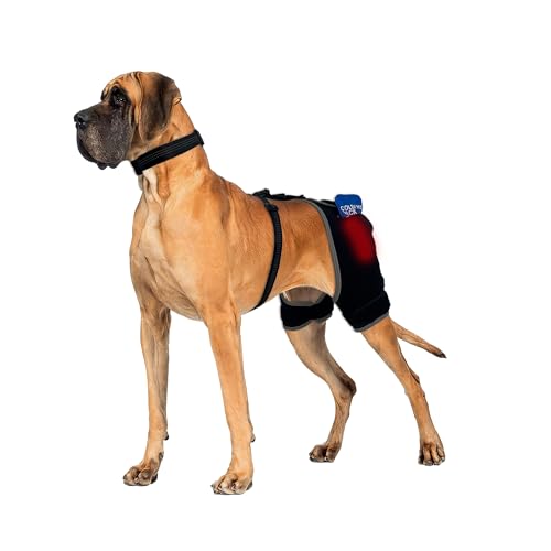 LISPOO Hip Dysplasia Brace for Dogs Dog Hip Support Brace with Hot & Cold Therapy 2 Gel Packs Included Quick-Swap Pocket Adjustable Stay-Put Support for Arthritis Stiffness & Swelling L Size