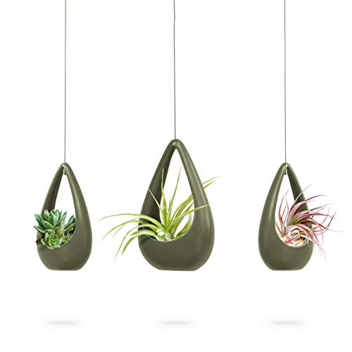 23 Bees, Hanging Air Plant Holder, Green Hanger Ceramic Planter,