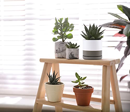 Set Of 4 Small Succulent Plant Pots, 4.6 Inch Ceramic Planter Pot For Plants With Drainage Hole And Saucer, White/Speckled Grey, 94-F-Xs-6 #TOP6