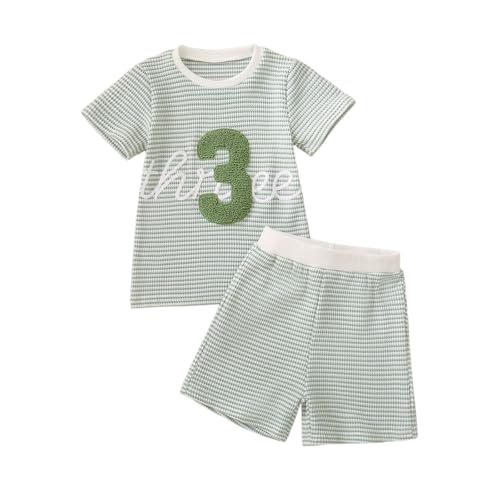 Toddler Baby Boy Birthday Outfit One/Two Letter Embroidery Waffle T-shirt Top Jogger Shorts Summer Birthday Clothes (Green Three 3-4T)