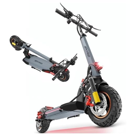 800W Electric Scooter with Off-Road Tires