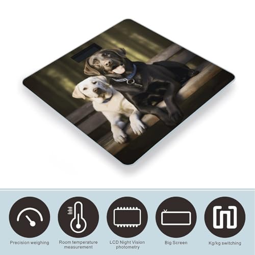 Báscula Digital de Baño Labrador Precisión 400lb Vidrio miniatura 3