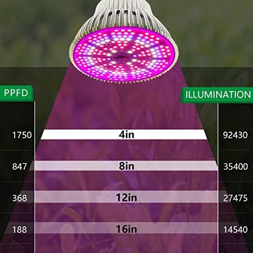 Amazon.co.jp: 植物育成ライト LED 5000LM 赤青系 青色 紫色 Amazon.co.jp: 植物育成ライト LED 5000LM 赤青系 青色 紫色