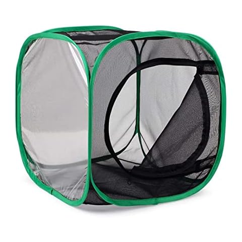 Cage à Insectes QIODAZOO Cover