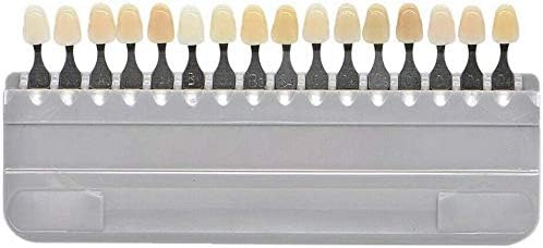 Dental Professional 3D Porcelain Teeth Whitening Shade Guide Tooth Bleaching Shade Chart with 16 Colors- Dentist Materials Oral Care (1 Set (16 Colors))