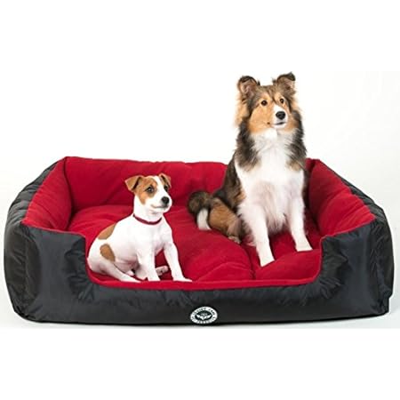 large red dog bed