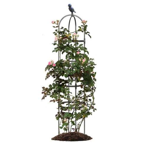 Garden Trellis,Tomato Cage for Climbing Plants Outdoor, Plants Trellis Support for Climbing Vines, Plant Support for Vegetables, Plant Flower Trellises for Clematis Jasmine Outdoor Indoor-1 Pack