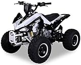 bmw 125 ccm enduro ✔ Daumengas drosselbar ✔ Tacho ✔ Scheinwerfer vorne & hinten ✔ 3 x Vorwärtsgänge & 1 x Rückwärtsgang