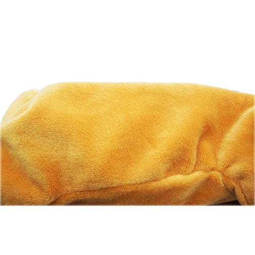 Artone Sfocato Collie Cane Matita Astuccio