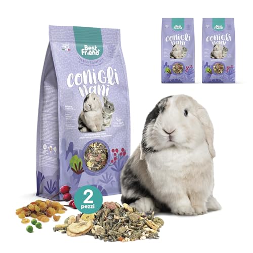 Best Friend Alimento Completo para Conejos Enanos con Bayas de Rosa mosqueta, Guisante en Copos de Guisante, algarroba, UVA sultanina, Paquete de 2 Paquetes. Alimento para roedores con Ingredientes