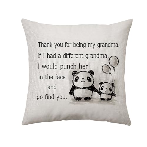 Aconesong Grandma Gifts: Cushion Cover for Women - Birthday, Christmas, Anniversary - Keepsake Decoration 45 x 45 cm