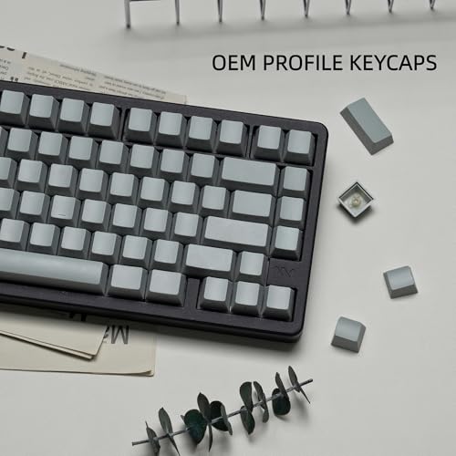 Image of dagaladoo doubleshot PBT keycap Set,Japanese keycaps Shine Through,Side Printed Key caps Keyboard,Cherry Profile Custom Keycap for Mechanical Gaming Keyboards(Light Grey)