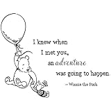 30'x24' I Knew When I Met You and Adventure was Going to Happen Wall Decal Sticker Color Choices Winnie The Pooh Wall Decal Sticker Art Mural Home Décor Quote