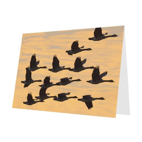 10 hojas de tarjetas de vacaciones de gansos de otoño volando al sur, sobre verde oscuro, adecuadas como tarjetas de invitación de aniversario de boda y fiesta