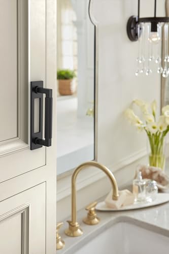 Image of Amerock Medora 3-3 /4 inch Matte Black Backplate