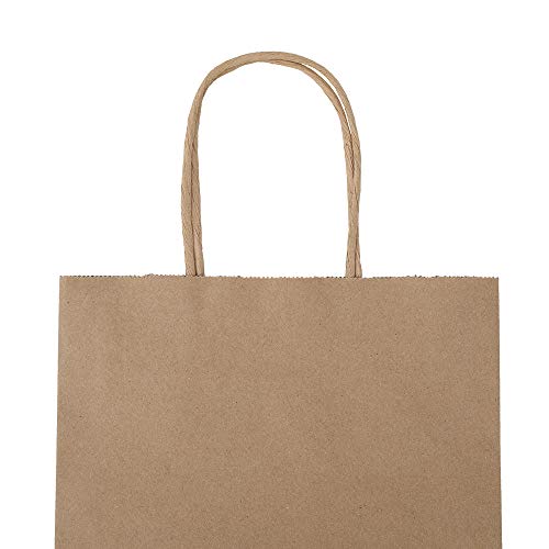 Bagmad B300-120 100 Pack 8X4.75X10 Inch Plain Medium Paper Bags thumb #3