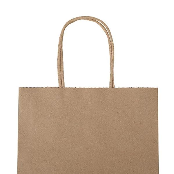 bagmad 100 stuks 20 x 12 x 25 cm effen middelgrote papieren zakken met handgrepen bulk, bruine kraftzakken, ambachtelijke geschenkzakken, boodschappentassen, boodschappentassen, verjaardagsfeestjes,