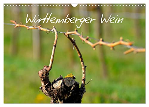 Württemberger Wein 2026 (Wandkalender 2026 DIN A3 quer), CALVENDO Monatskalender: 13 Motiven aus dem Weinland (CALVENDO Natur)