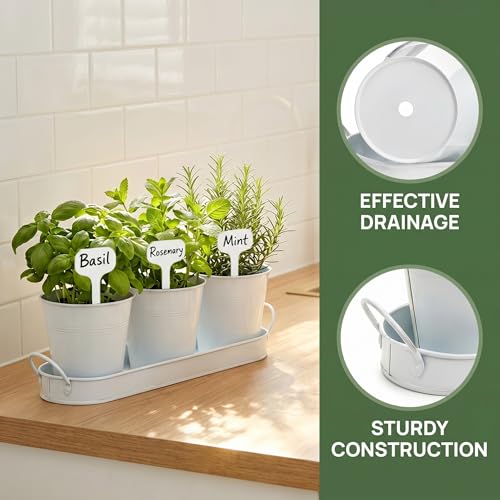 Image of Hiceeden Set of 3 Herb Garden Planter with Labels, Indoor Herb Pots with Drainage Holes, Metal Herb Garden Set with Tray for Windowsill or Countertop, White
