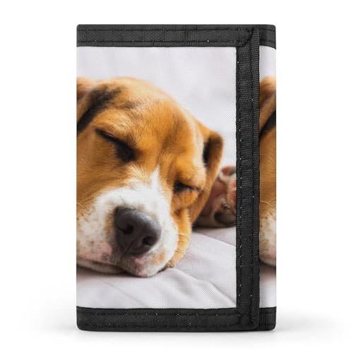 [YINGDAB] O܂z Ăr[O Ck ʕ ~jz J[hP[X z D fB[X Y J[h K Wallet  RpNg e ^ v[g