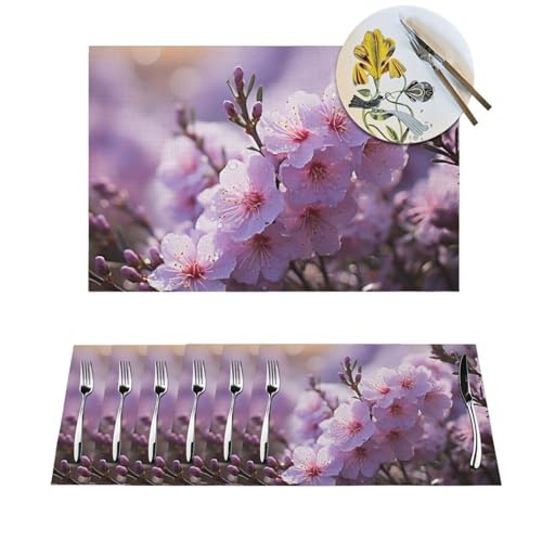 Sets de table en PVC anti-taches et lavables pour protéger votre table