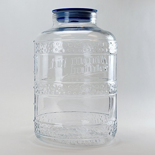 Big Mouth Bubbler® EVO 2 6.5 Gallon Glass Carboy Fermentor Amazon.in