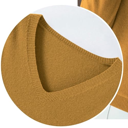 OIOLOYJM Fall Cashmere Sweaters for Women 2025 V Neck Long Sleeve Tops Lightweight Knitted Pullovers Merino Wool Sweater
