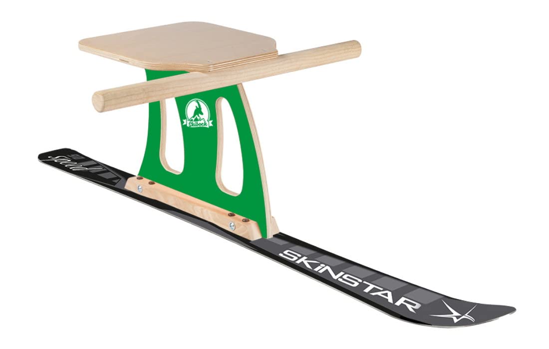 Race Kit complet de luge de ski avec luge, ski, neige, luge verte