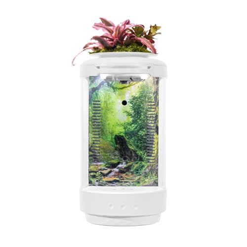 Image of Small Fish Tank 1.2 Gallon Aquarium Starter Kit Desktop Mini Fish Bowl Small Betta Fish Tank with Plant Pot (Forest)