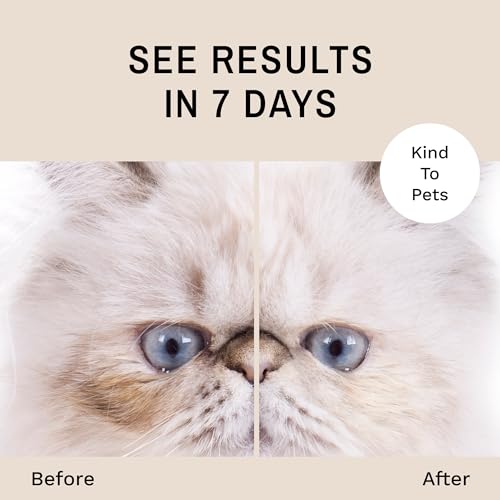 Eye Envy Tränenfleckentferner-Lösung für Katzen|100% natürlich und sicher|Empfohlen von Züchtern/Tierärzten/Katzenliebhabern/Groomern|Enthält kolloidales Silber, 2 oz