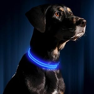 ILLUMISEEN LED Dog Collar USB Rechargeable Bright High Visibility Lighted Glow Collar for Pet Night Walking Weatherproof in 6 Colors 6 Sizes