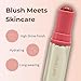 Haus Labs Color Fuse Longwear Hydrating Glassy Lip + Cheek Blush Balm Stick - Glassy Rosette