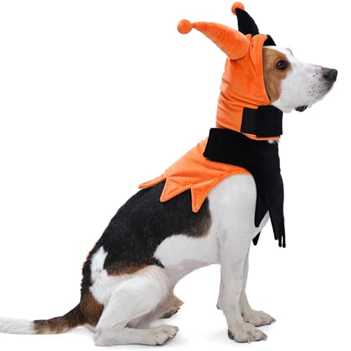 Lelepet  nEBRX`[ Xq&}gtAt@j[hbORX`[ ybg nEB RXv ߑ p[eB[hXAbv gbNIAg[gpAzf[ ^A^A^A_bNXtgAr[OA{