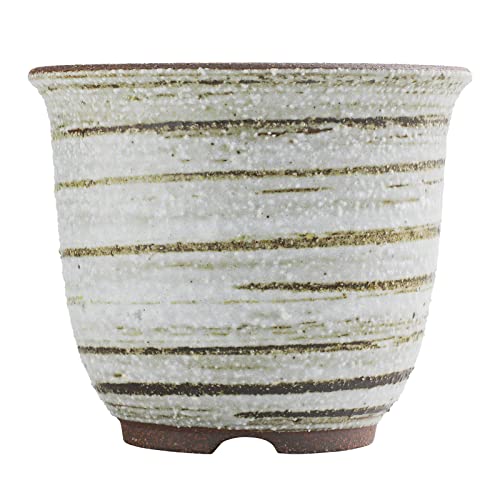 Wazakura Banko Series Japanese Handmade Ceramic Bonsai Pot And Orchid Planter 4.7 In (120 Mm) With Drainage Hole, Small Garden Container, Tall Flower Vase, Mini Cactus And Succulent Bowl - Brush White #TOP1