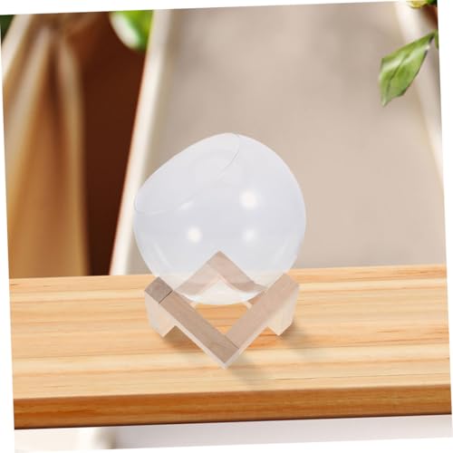 Station de propagation en verre et bois, cadeau déco idéal